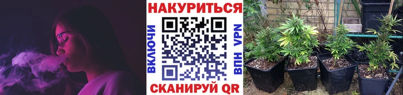 Конопля White Widow  Волгореченск 